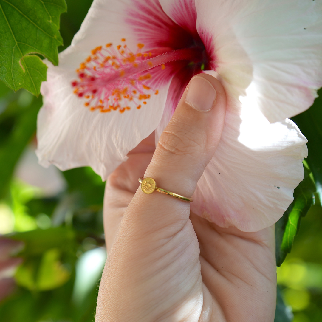 Dreiklang Set (+ Journal)